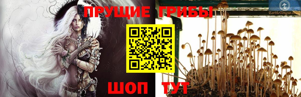 Галлюциногенные грибы GOLDEN TEACHER  Галлюциногенные грибы мухоморы  где найти наркотики  Вход с VPN  Трёхгорный 